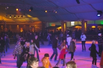 2010-02-08-stattalm-042-neuja