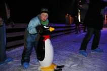 2010-02-08-stattalm-pinguin